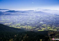 Przyjęto strategię rozwoju miasta. Zobacz silne i słabe strony - zdjęcie główne