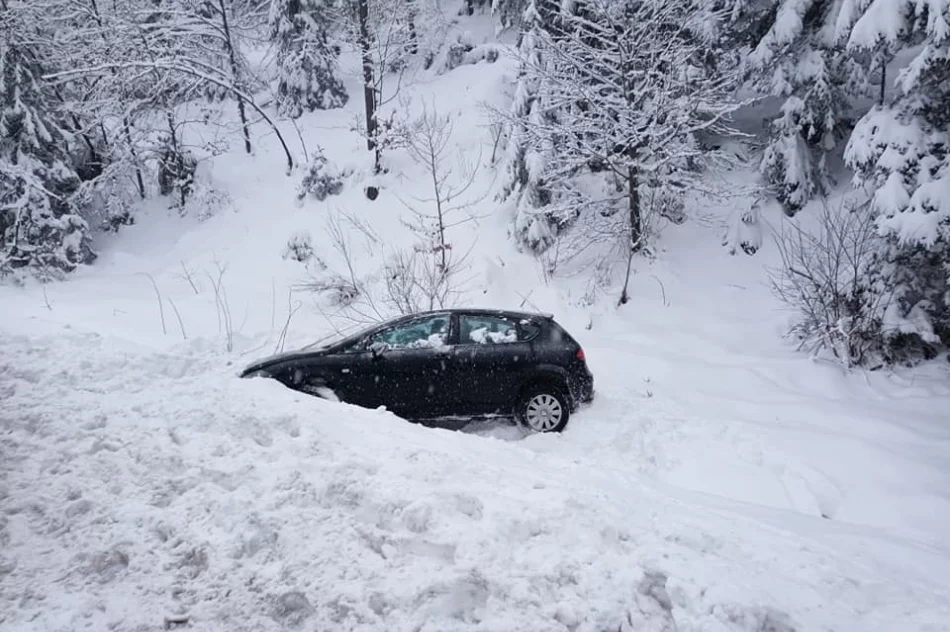 Seat dachował w rowie, 35-latek z mandatem - zdjęcie 2