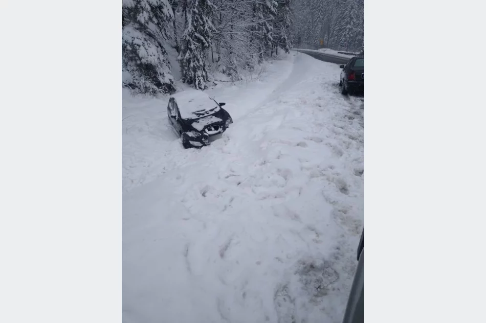 Seat dachował w rowie, 35-latek z mandatem - zdjęcie 4