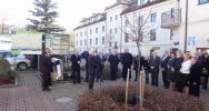 'Dąb Jedności' został zasadzony - zdjęcie 3