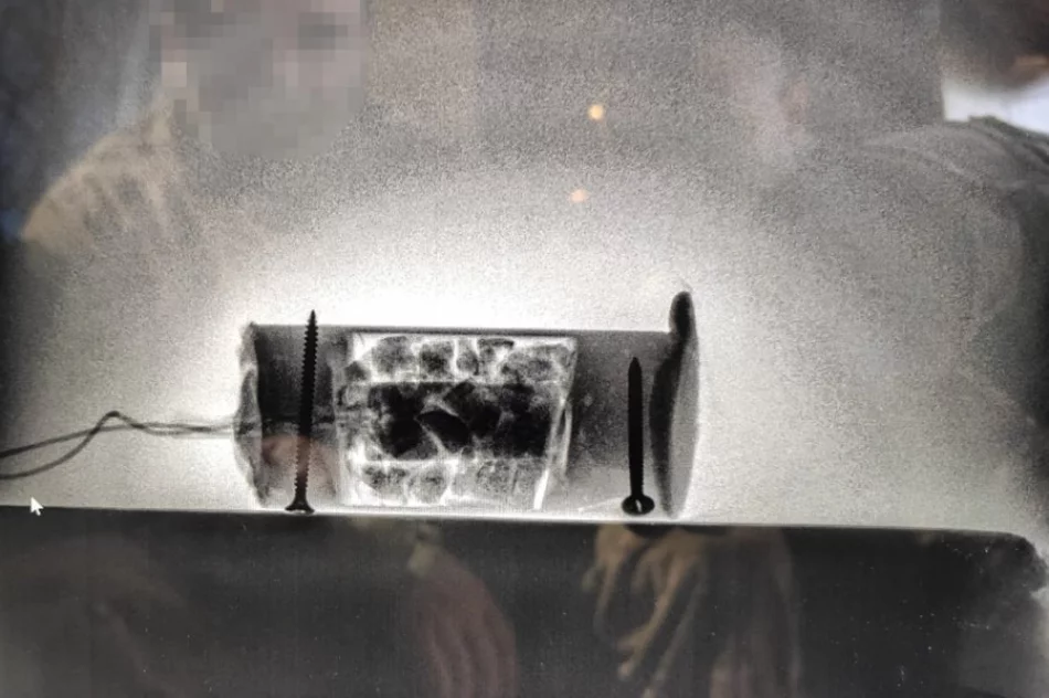 Przejęto broń i materiały wybuchowe - zdjęcie 10