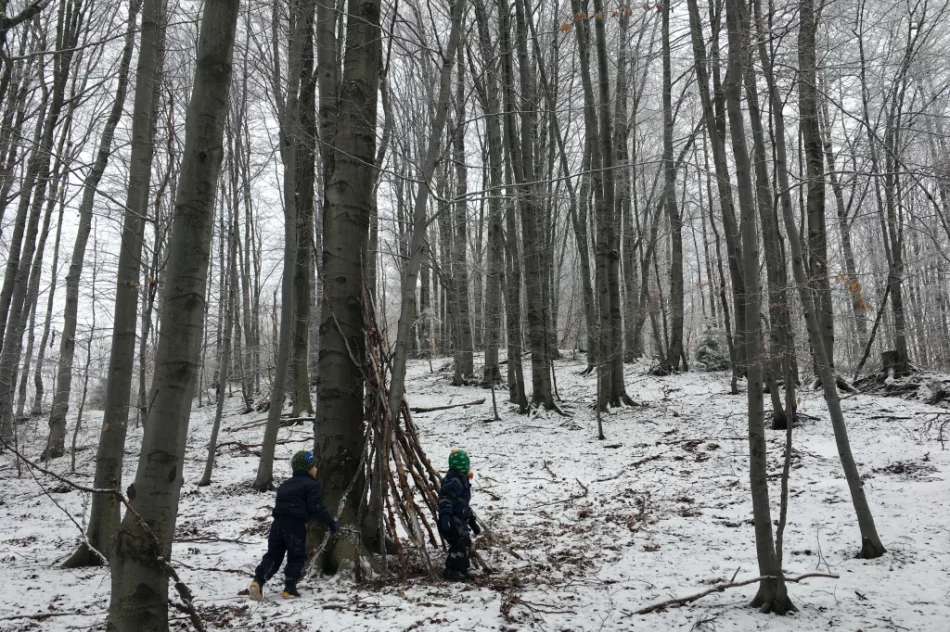 W nieczynnej szkole stowarzyszenie organizuje żłobek i przedszkole - zdjęcie 2