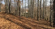 W nieczynnej szkole stowarzyszenie organizuje żłobek i przedszkole - zdjęcie 3
