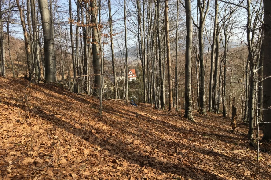 W nieczynnej szkole stowarzyszenie organizuje żłobek i przedszkole - zdjęcie 3