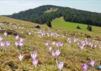 Niektóre szlaki turystyczne zamknięte na noc - zdjęcie główne