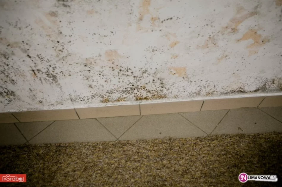 Nowy obiekt już wymaga remontu - zdjęcie 2