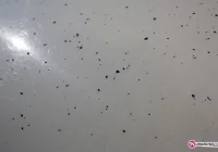 Centrum miasta w sadzy - zdjęcie główne