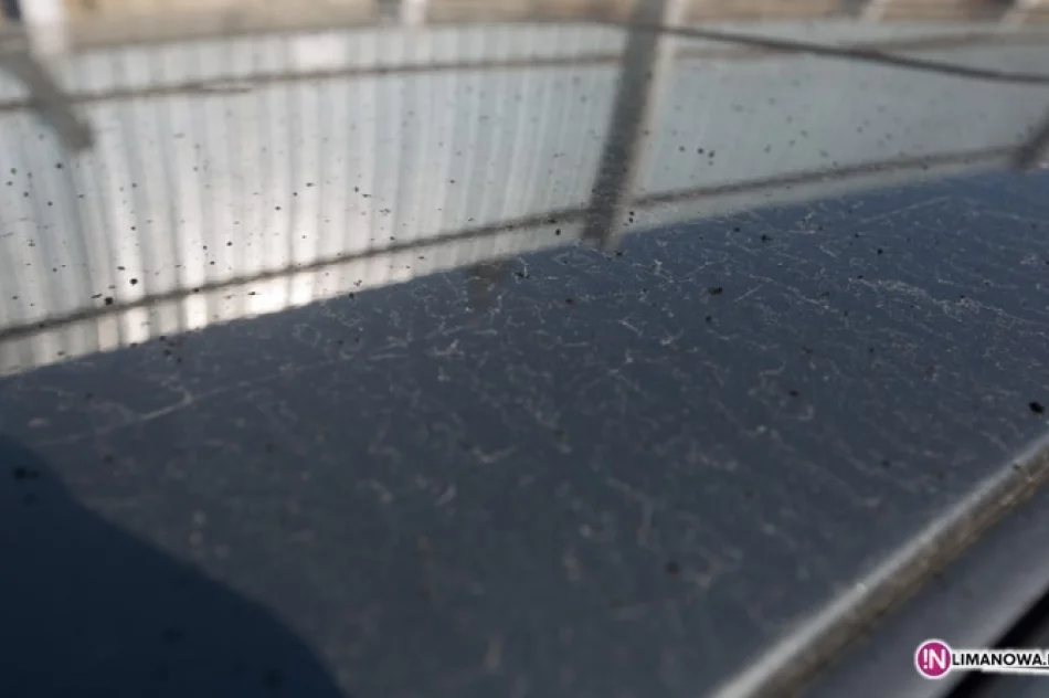 Centrum miasta w sadzy - zdjęcie 2