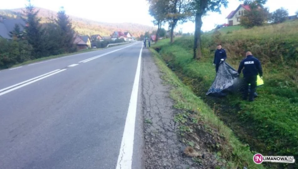 Zwłoki mężczyzny znalezione przy drodze - zdjęcie 1