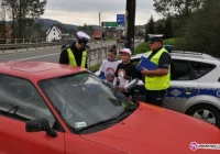 No promil - no problem - zdjęcie główne