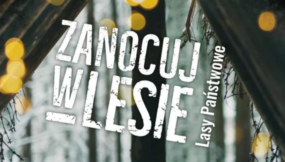 „Zanocuj w lesie” - nadleśnictwo wyznaczyło obszar do survivalu i bushcraftu - zdjęcie 1