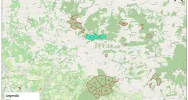 „Zanocuj w lesie” - nadleśnictwo wyznaczyło obszar do survivalu i bushcraftu - zdjęcie 2