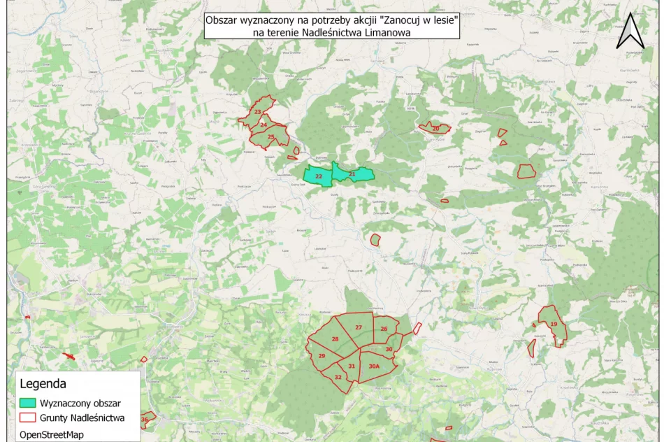 „Zanocuj w lesie” - nadleśnictwo wyznaczyło obszar do survivalu i bushcraftu - zdjęcie 2