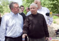 PiS w wyborach - kto i gdzie? - zdjęcie główne