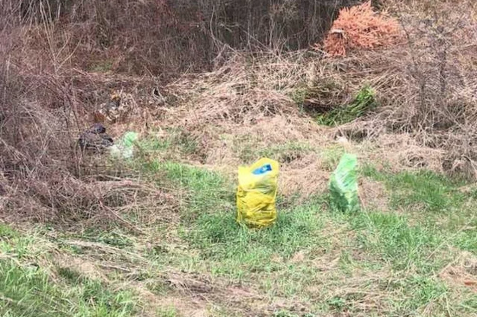 Mieszkańcy posprzątali gminę: zebrali kilkaset worków śmieci i odpady wielkogabarytowe - zdjęcie 20