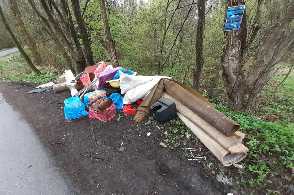 Gabaryty będą "zdobić" krajobraz, bo mieszkańcy nie zgłosili ich odbioru - zdjęcie 3