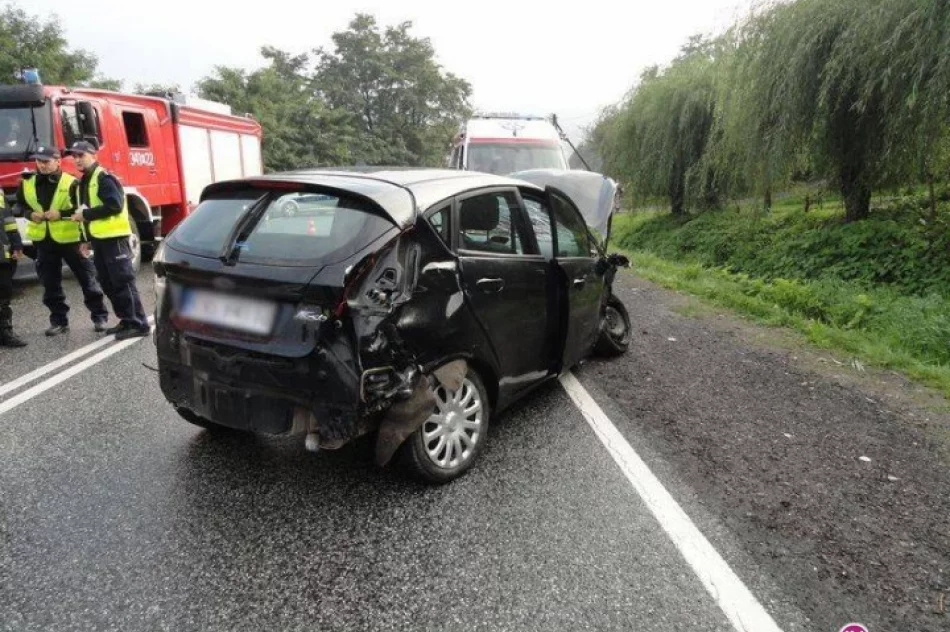Czołowe zderzenie samochodów - zdjęcie 2