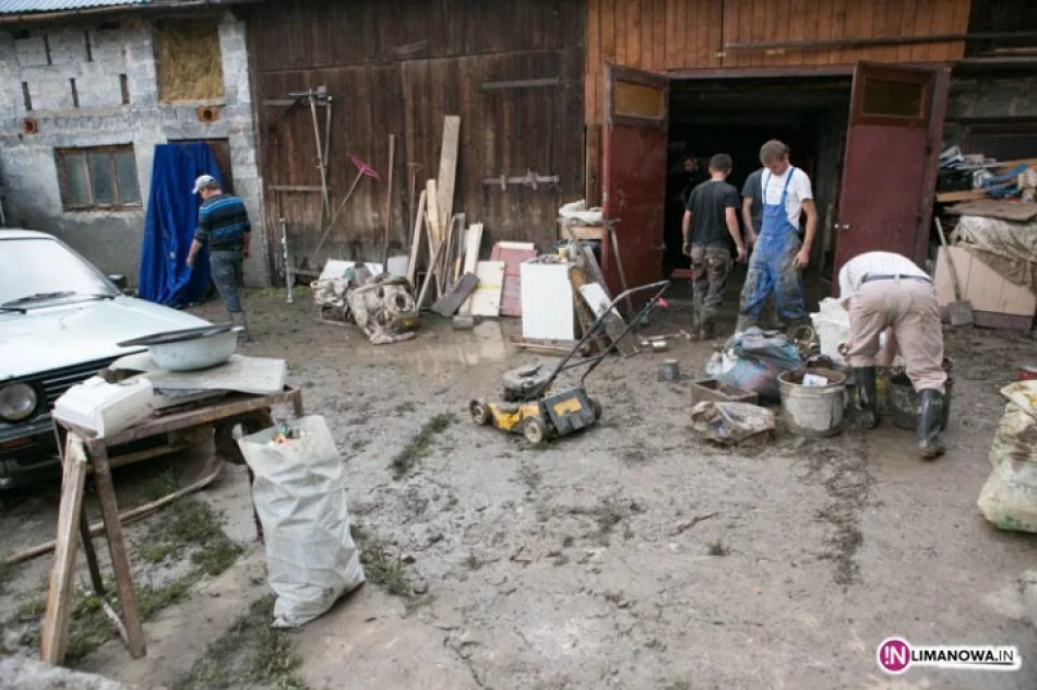 Łącznie aż ponad 10 mln zł strat - zdjęcie 3