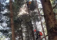 Paralotniarz zawisł na drzewie na wysokości 20 metrów - zdjęcie główne