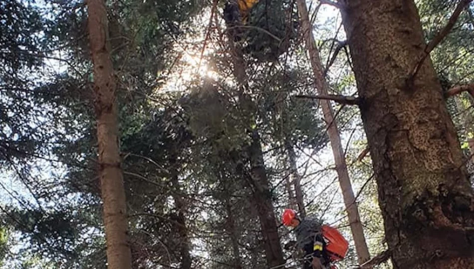 Paralotniarz zawisł na drzewie na wysokości 20 metrów - zdjęcie 1