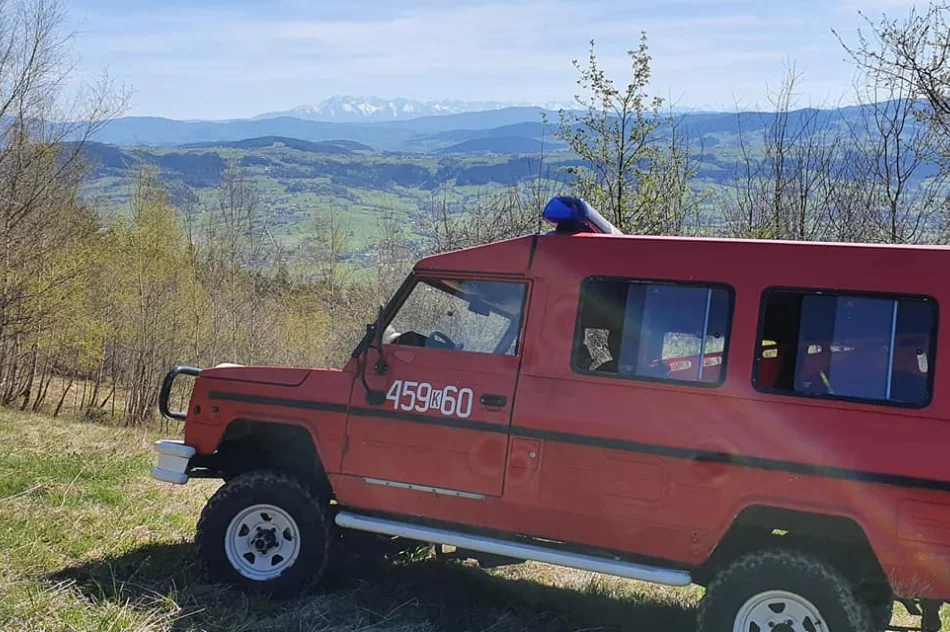Paralotniarz zawisł na drzewie na wysokości 20 metrów - zdjęcie 3