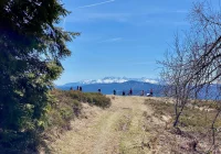 Synoptyczna prognoza pogody na najbliższy tydzień - zdjęcie główne