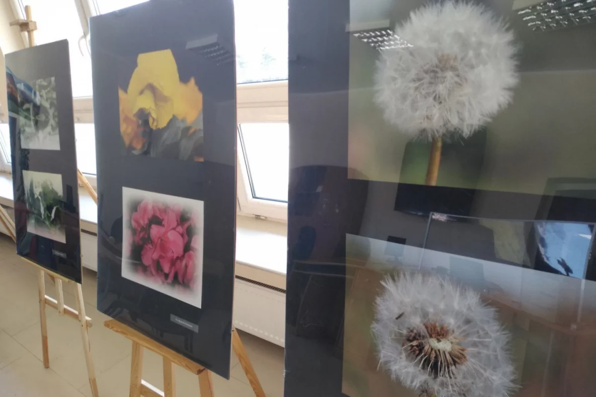 „Kolor kwiatu, kwiat koloru” - wystawa fotografii