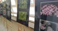 „Kolor kwiatu, kwiat koloru” - wystawa fotografii - zdjęcie 3