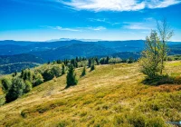 Jutro wiosenna akcja sprzątania okolicy - zdjęcie główne