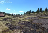 Spłonęła polana na terenie parku narodowego - ogień zaprószono - zdjęcie główne