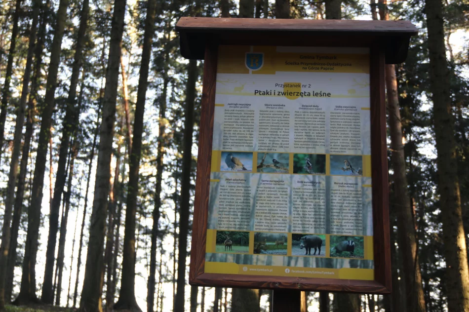 Powstaje ścieżka przyrodniczo-dydaktyczna - zdjęcie 3