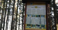 Powstaje ścieżka przyrodniczo-dydaktyczna - zdjęcie 3