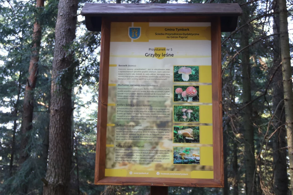 Powstaje ścieżka przyrodniczo-dydaktyczna - zdjęcie 4