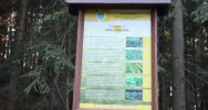 Powstaje ścieżka przyrodniczo-dydaktyczna - zdjęcie 5
