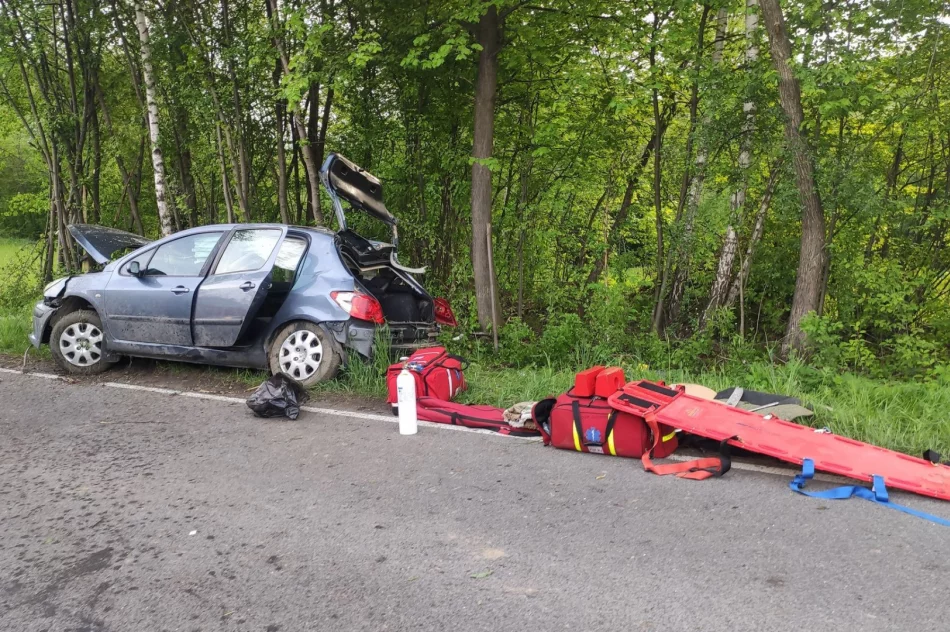 Trzy osoby ucierpiały w wyniku zdarzenia. Na pomoc LPR - zdjęcie 3
