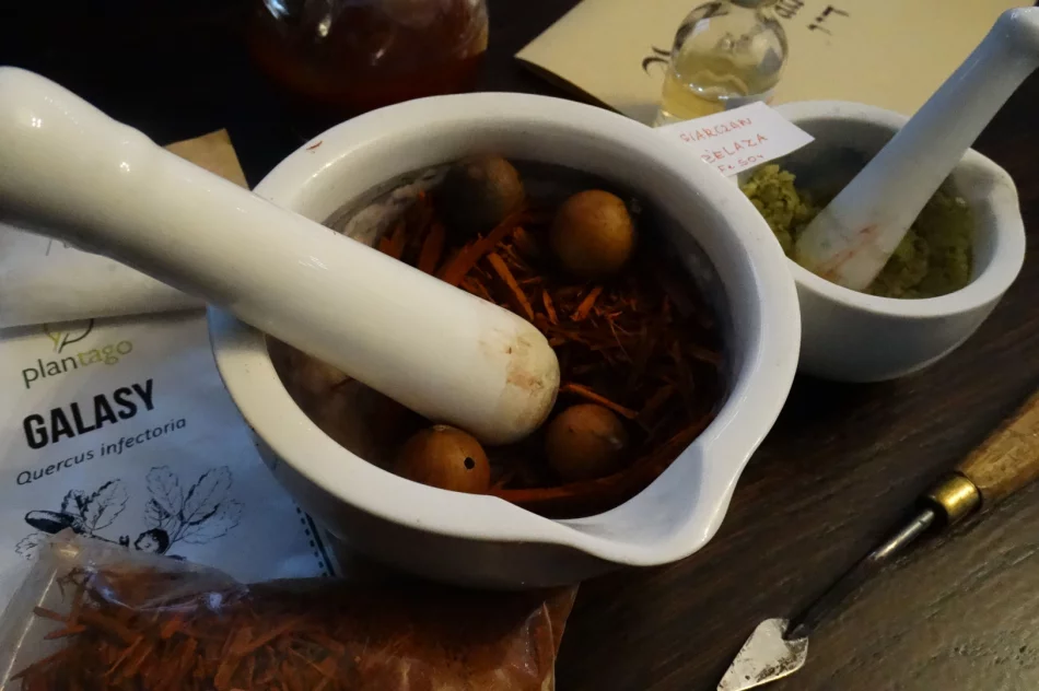 IX Noc Muzeum w Limanowej - zdjęcie 7