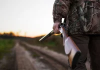 Kontrowersje wokół konkursu. "Myśliwy to najlepszy ekolog"? - zdjęcie główne