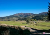 Powstaną dwie wieże? Mieszkańcy przeciwni - zdjęcie główne