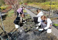 Praktyczna nauka w plenerze - zdjęcie główne