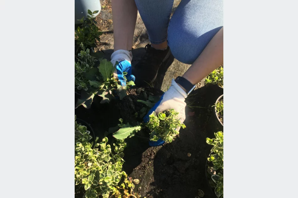 Praktyczna nauka w plenerze - zdjęcie 2