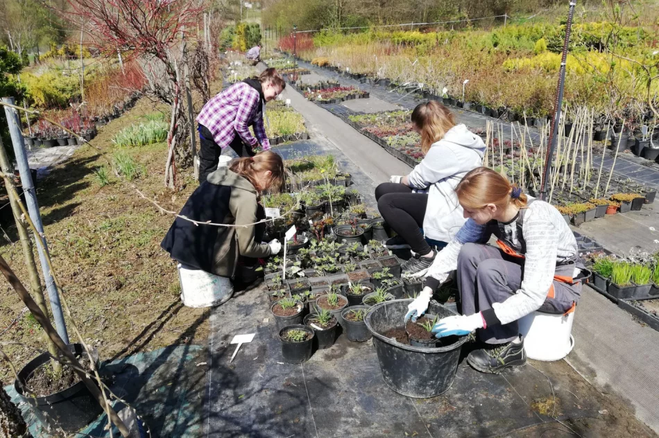 Praktyczna nauka w plenerze - zdjęcie 3