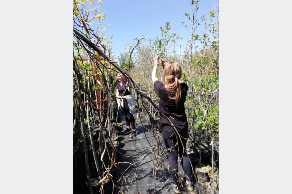 Praktyczna nauka w plenerze - zdjęcie 4