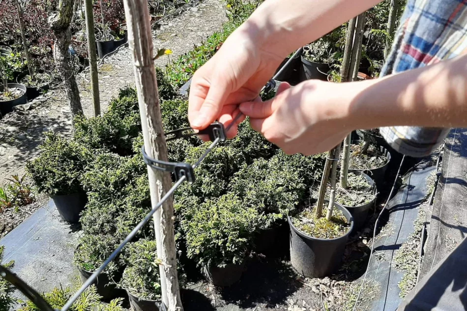 Praktyczna nauka w plenerze - zdjęcie 5