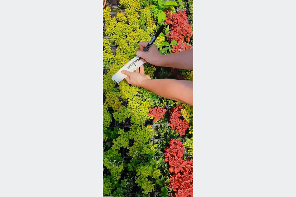 Praktyczna nauka w plenerze - zdjęcie 6