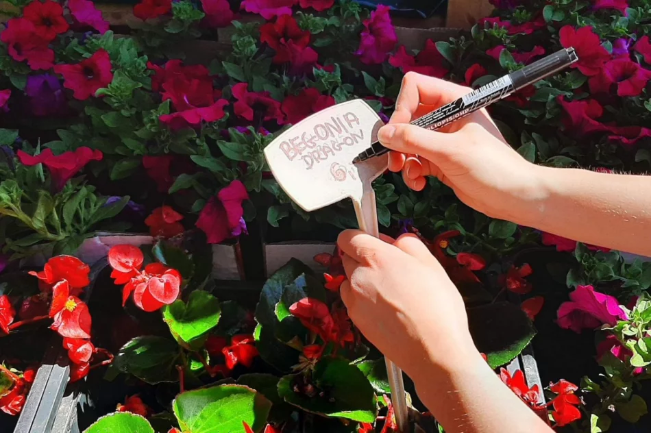 Praktyczna nauka w plenerze - zdjęcie 7