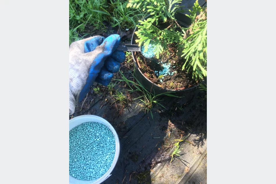 Praktyczna nauka w plenerze - zdjęcie 8