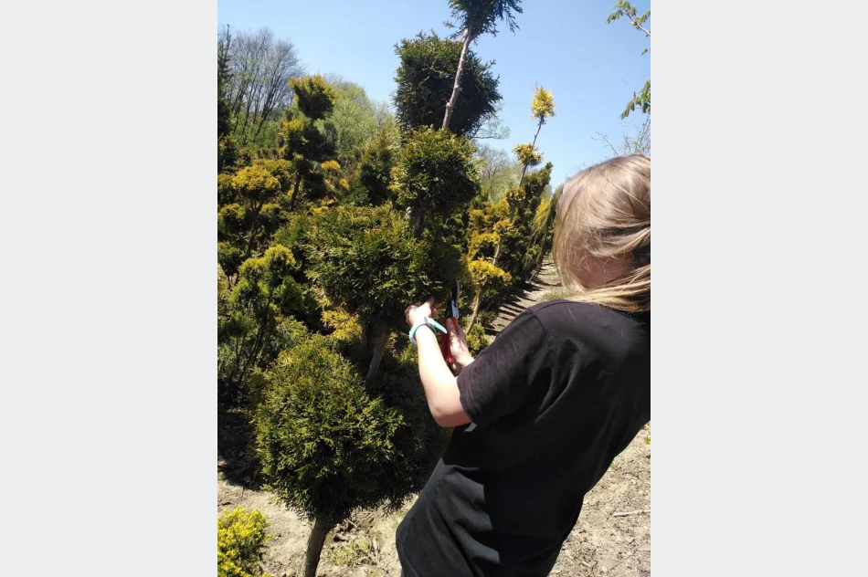 Praktyczna nauka w plenerze - zdjęcie 9