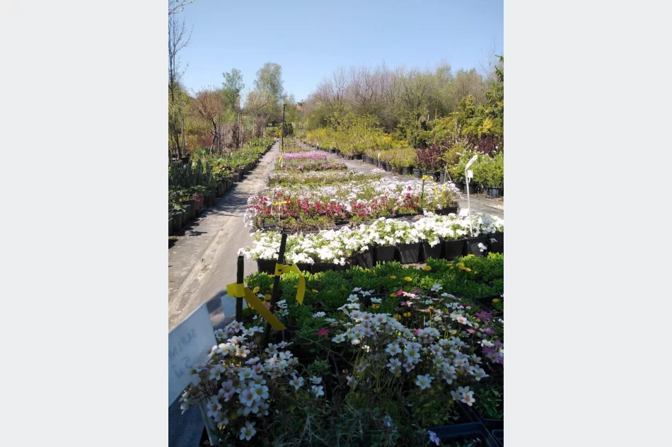 Praktyczna nauka w plenerze - zdjęcie 10