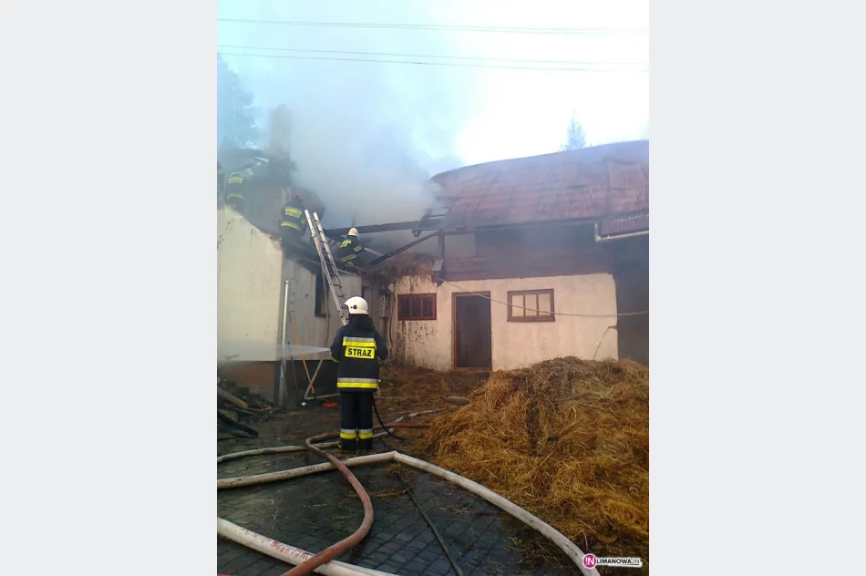 Pożar strawił gospodarstwo, właściciel w szpitalu - zdjęcie 3