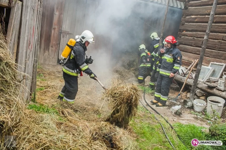 Budynek ocałał, spłonęło tylko siano - zdjęcie 2